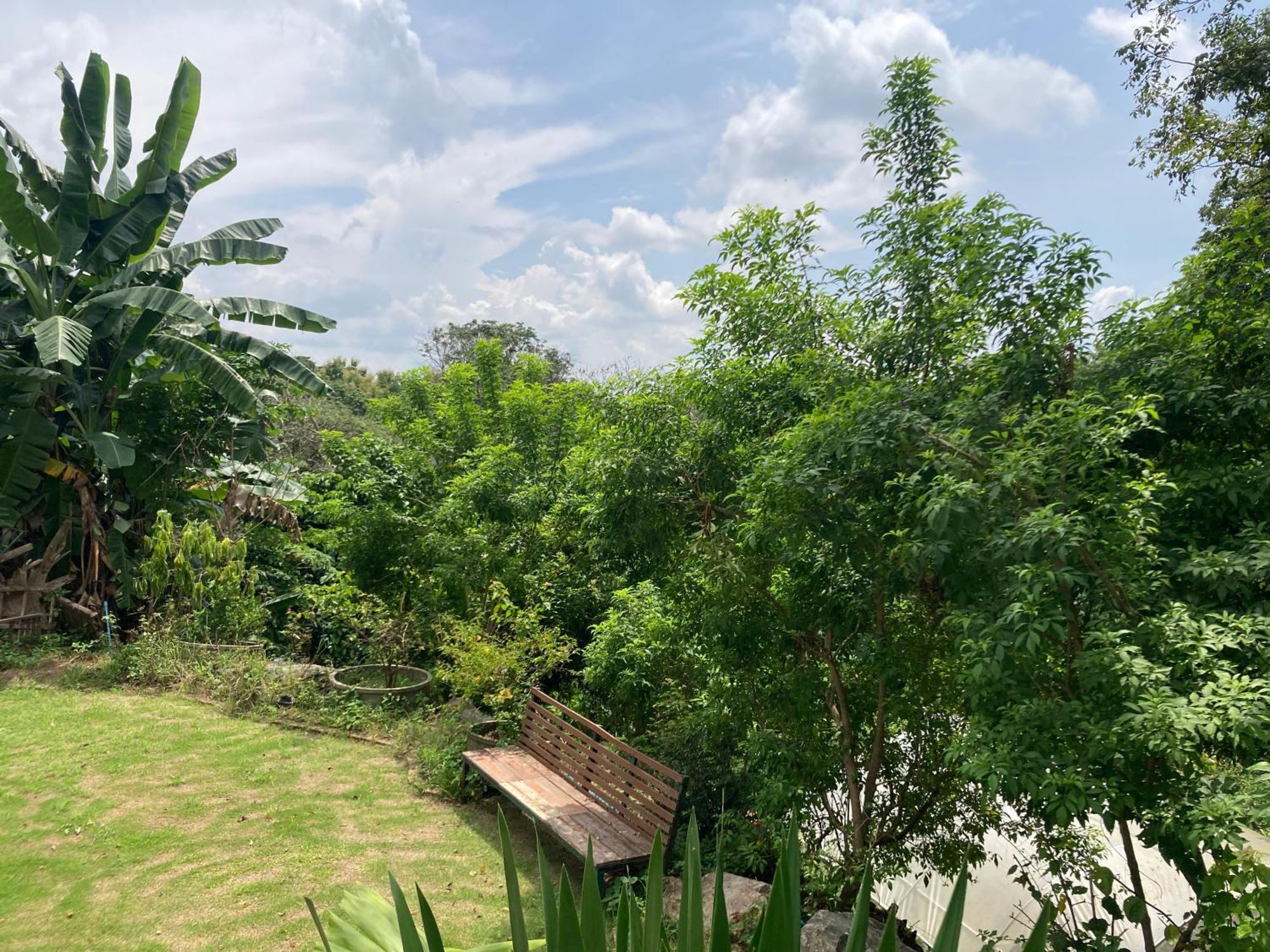 Maesa Greenery Hill Sha Mae Rim Exteriör bild