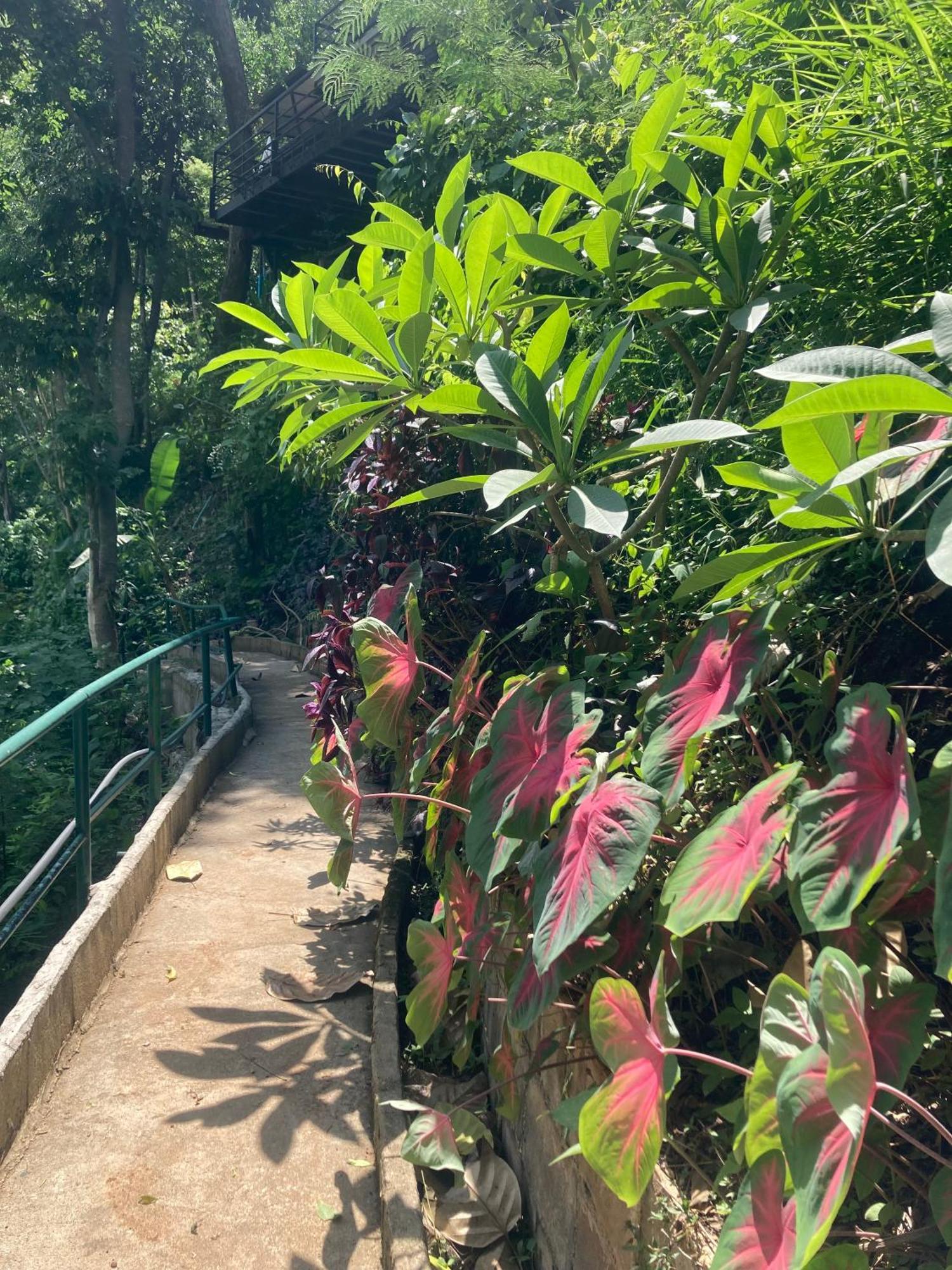 Maesa Greenery Hill Sha Mae Rim Exteriör bild